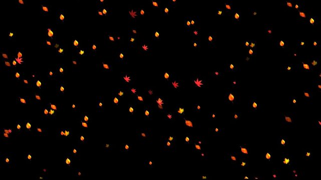 Colorful leaves dance gently through the air on a black backdrop, capturing fall's magic.