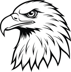 Eagle Head Line Drawing – Minimalist Black and White Illustration