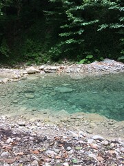 Crystal clear water pool surrounded by lush greenery in forest
