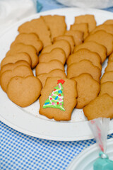 Close-up of homemade gingerbread cookies on a plate
