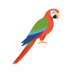 Fototapeta premium Colorful scarlet macaw parrot illustration in a flat, stylized design. An exotic tropical bird from the jungle, isolated on a white background