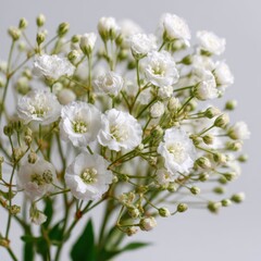 Obraz premium Delicate close-up of a lush gypsophila bouquet soft white blooms and green stems