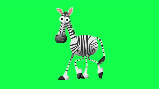Funny Cartoon Zebra Walking Loop Animation on Green Screen Background