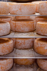 Wooden Shelves with Cows Milk Cheese