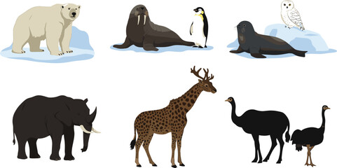Wildlife animal silhouettes vector illustration featuring polar bear, walrus, penguin, snowy owl, elephant, giraffe, and ostrich in natural habitats