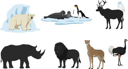 Wildlife animal vector illustration featuring polar bear, walrus, penguin, deer, owl, rhino, lion, cheetah, ostrich in diverse habitat design
