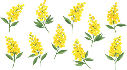 Yellow mimosa flower pattern, botanical illustration, floral textile design, spring blossom motif, decorative nature background, seamless grid layout, vibrant foliage