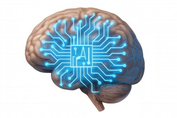 Human brain with glowing ai circuit board overlay, representing artificial intelligence and advanced technology concepts