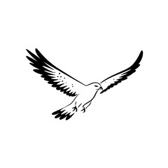 Fototapeta premium Hawk. Hawk simple black and white line art vector logo