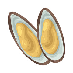 Illustration of Two Open Mussel Shells