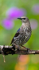 Bird perched on branch, vibrant bokeh