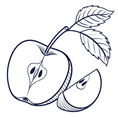 A simple line art illustration of a whole apple cut in half revealing its seeds and core along with a single slice and two leaves on a stem