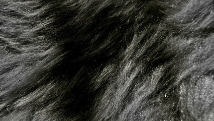 black fur texture closeup with dark silky strands and subtle shine forming an abstract flowing background ideal for banner copy space or moody wallpaper in modern design projects
