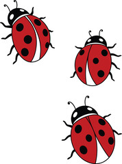 Fototapeta premium Three adorable cartoon ladybugs with black spots and red shells clustered together on a white background