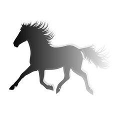 Capture the spirit of freedom and elegance with this sleek black-and-white horse illustration. Perfect for branding, apparel, or editorial layouts.