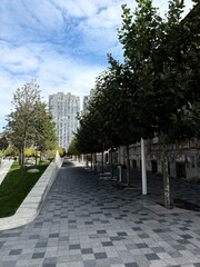 Modern city street with trees and high rise buildings under blue sky