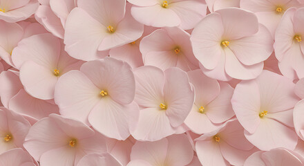 Pink Flower Petal Texture, Soft Realistic Style, Pastel Colors, Floral Pattern, Seamless Background with Copy Space