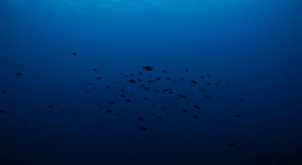 Mysterious Underwater World with School of Fish in Deep Blue Ocean Illuminated by Faint Sunlight