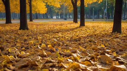 Obraz premium Golden autumn park with fallen leaves covering the ground