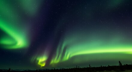 Mesmerizing display of the Northern Lights dancing across the starry night, creating a breathtaking celestial light show over a dark landscape
