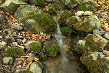 Tranquil Woodland Creek with Mossy Stones and Water Flow, Long Exposure Photography