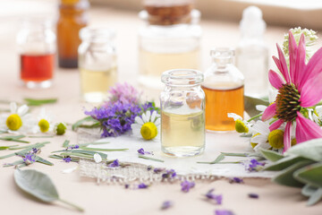 Variety of aroma essential oils in glass bottles with aromatic flowers on natural background, copy space, natural cosmetic, skin treatment, aromatherapy and menopause health concept