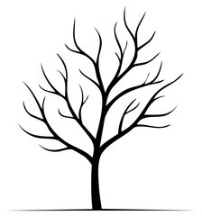 Graphic black silhouette of a bare tree with delicate, intricate leafless branches reaching upwards