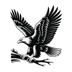 Majestic bald eagle spreading wings on a branch