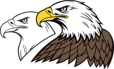 eagle vector illustration