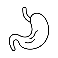 Human stomach anatomy diagram for medical education and healthcare resources in simple line art illustration