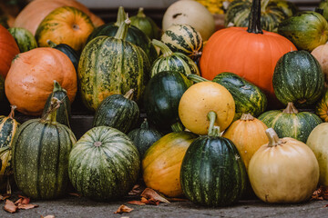 A colorful assortment of pumpkins and gourds in various shapes, sizes, and colors. The image captures the essence of autumn harvest with a rich variety of textures and natural tones