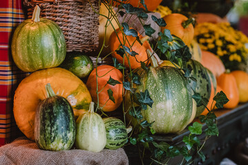 A colorful assortment of pumpkins and gourds in various shapes, sizes, and colors with hedera and wicker basket The image captures the essence of autumn harvest