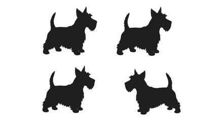 Four silhouette scottish terrier dog icons poses on a for commercial use