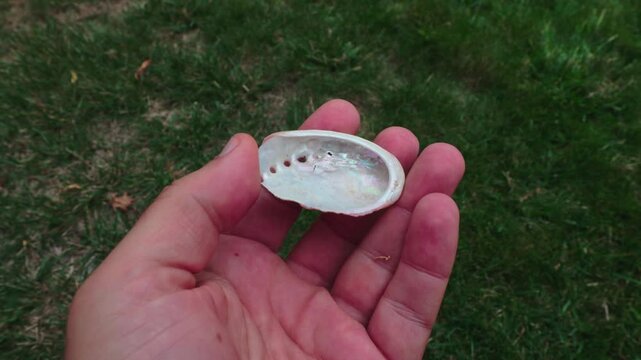 Close-Up of Hand Holding a Small, Iridescent Abalone Shell