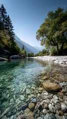 Split level view of an extremely clear mountain river showing the surface and riverbed with pebbles and rocks and surrounding forest and mountains