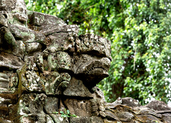 restos de serpientes con grandes mandíbulas