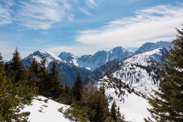 Fototapeta premium Majestic snow-capped mountains. Forest of evergreen trees, capturing expansive winter landscape of Bärentaler Kotschna with views to Kosiak, Hochstuhl, Weinasch in Karawanks, Carinthia, Austria