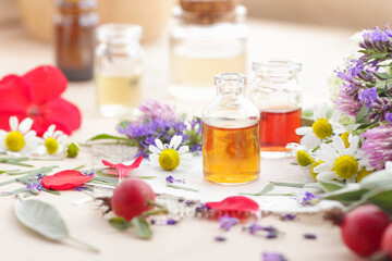 Variety of aroma essential oils in glass bottles with aromatic flowers on natural background, copy space, natural cosmetic, skin treatment, aromatherapy and menopause health concept