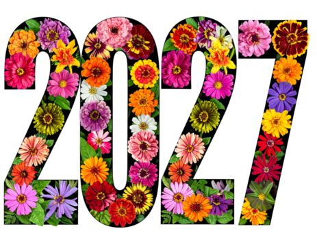 2027 numbers formed by colorful flowers and green leaves on black isolated on white t 