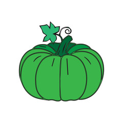 Green Pumpkin Illustration