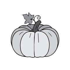Gray Pumpkin Illustration