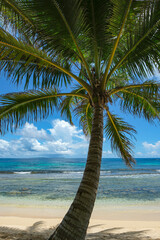 Corn Island, Nicaragua - September 19, 2025: A beach in Corn Island, an archipelago located in the Caribbean Sea, Nicaragua.