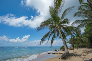 Corn Island, Nicaragua - September 19, 2025: A beach in Corn Island, an archipelago located in the Caribbean Sea, Nicaragua.