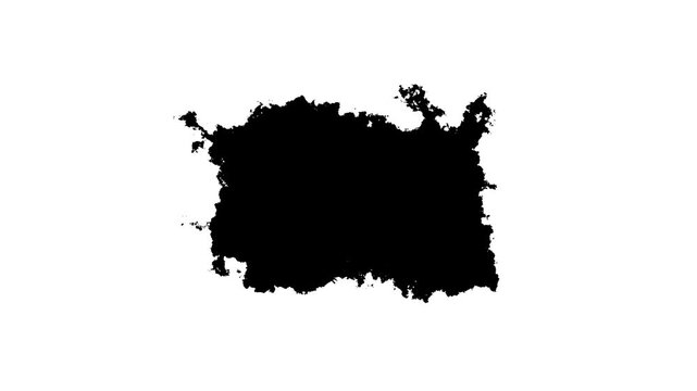 Transition of black expanding paint stains on white backdrop Grunge Ink spreads and fills the screen. watercolor ink leak drops transition paint. Abstract black Particles Explosion On white Background