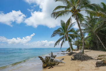 Corn Island, Nicaragua - September 19, 2025: A beach in Corn Island, an archipelago located in the Caribbean Sea, Nicaragua.