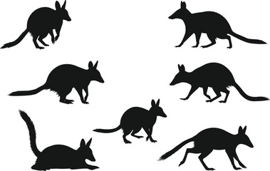 Kangaroo rat silhouette set, small marsupial vector, rodent like animal illustration, unique wildlife clipart design