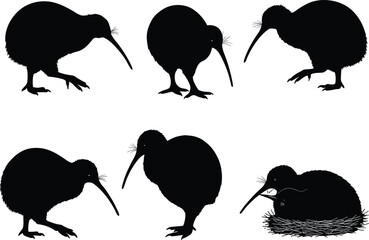 Kiwi bird silhouette set, flightless animal vector, New Zealand wildlife illustration, nesting poses, unique nature clipart