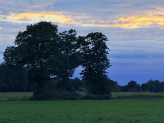 beautiful tender twilights at the green field