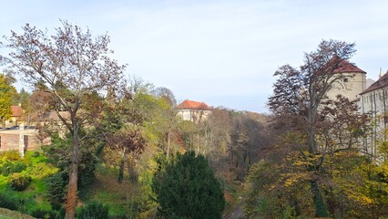 Fototapeta premium There is a medieval fortress wall with a round tower at the top of the hill. There are trees on the slopes and a moat below. Nearby there are buildings with tiled roofs. Sunny autumn weather
