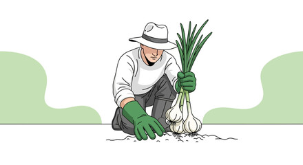 Gardener Harvesting Fresh Garlic, Illustration of Organic Food and Cultivation